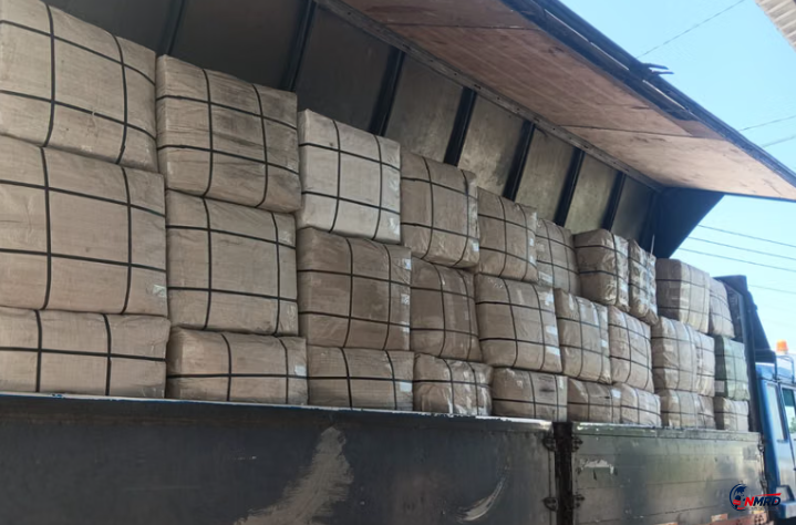 BNN Gagalkan Penyelundupan 3,37 Ton Ganja Diduga dari Thailand, Libatkan Jaringan Lintas Negara