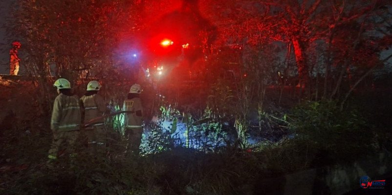 Kebakaran Semak di Cilincing Dipicu Puntung Rokok, Berhasil Dipadamkan dalam 30 Menit