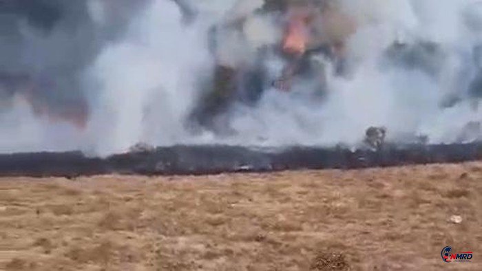 Kebakaran Melanda Alun-Alun Suryakencana Gunung Gede, Relawan Berjuang Padamkan Api di Tengah Angin Kencang