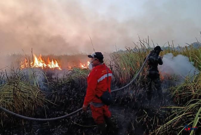 Polri Tetapkan 72 Tersangka Karhutla di Kalimantan dan Sumatra, Diduga Bakar Lahan untuk Sawit