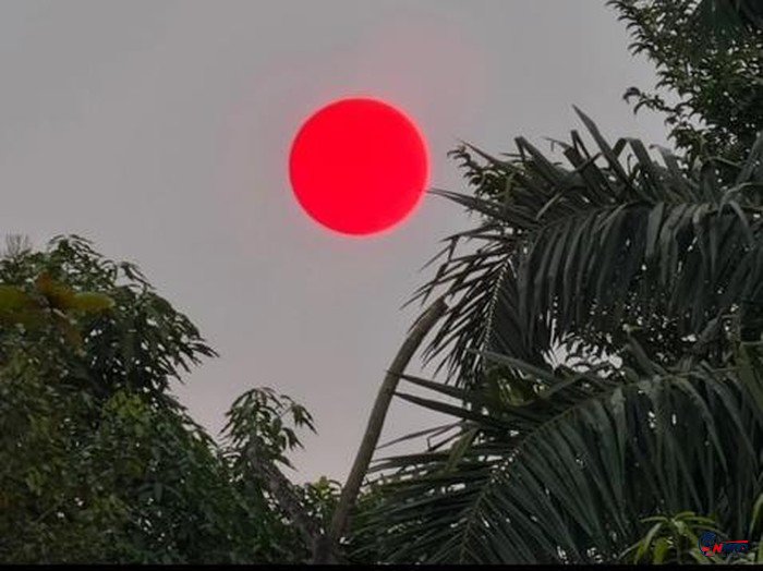 Matahari Memerah di Langit Palangka Raya, BMKG Ungkap Kaitannya dengan Kabut Asap Karhutla