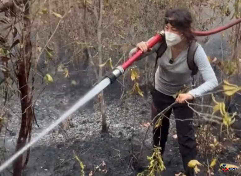 Sherina Munaf Turun Langsung Bantu Padamkan Karhutla di Kalteng, Ikut Rewetting hingga Tanam Kembali