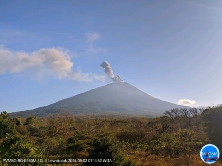 Gunung Ili Lewotolok Kembali Erupsi Dua Kali, Warga Diminta Jauhi Zona Bahaya