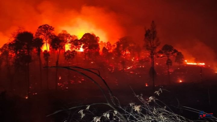 IKN Kembali Membara, Ratusan Hektare Hutan Tahura Bukit Soeharto Dilalap Api