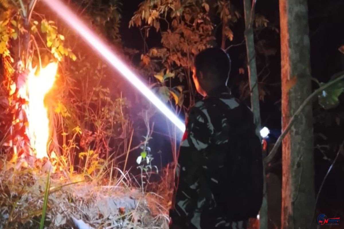 Lahan Kebun 3.500 Meter Persegi di Garut Terbakar, Diduga Sengaja Dibakar Orang Tak Dikenal