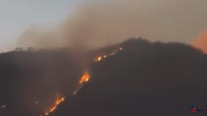 Karhutla Kepung Gunung Merapi Ungup-Ungup, 11 Titik Api Berjarak 1 Km dari Kawasan Ijen