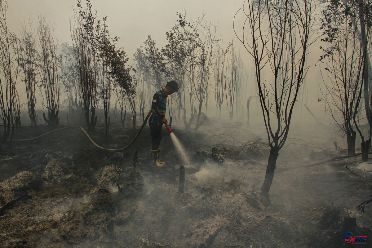 Pemerintah Uji Coba Cairan Pemadam Bantuan Brasil untuk Karhutla di Sumsel dan Kalimantan