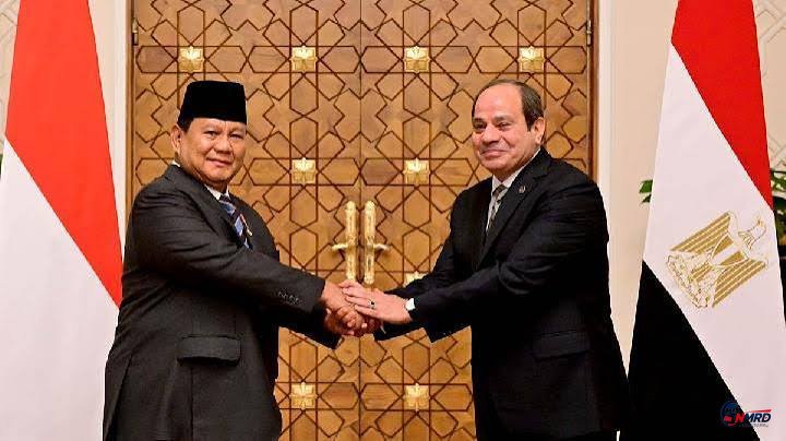 Prabowo dan Presiden Mesir Sepakat Perkuat Dukungan untuk Palestina, Rekonstruksi Gaza Jadi Prioritas