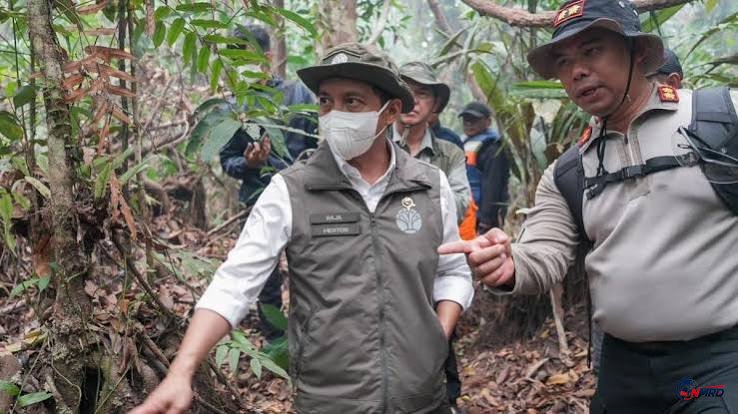Tiga Tim Dikerahkan Padamkan Karhutla di Taman Nasional Tanjung Puting, Akses 1,8 Kilometer Berhasil Dibuka
