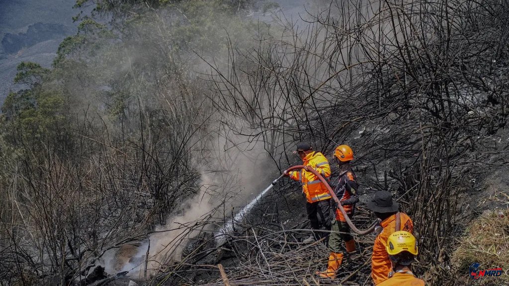 Tiga Petugas Gugur saat Padamkan Karhutla di Gunung Bromo, Tiga Lainnya Luka Bakar