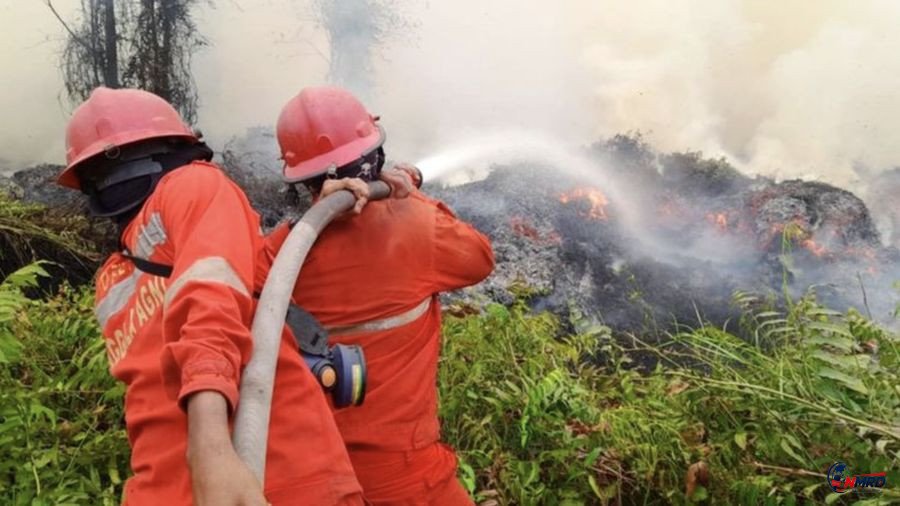 Kapolri Suyudi Ario Seto Tetapkan 11 Korporasi sebagai Tersangka Kasus Karhutla, Perusahaan Bermodal Asing Turut Terseret